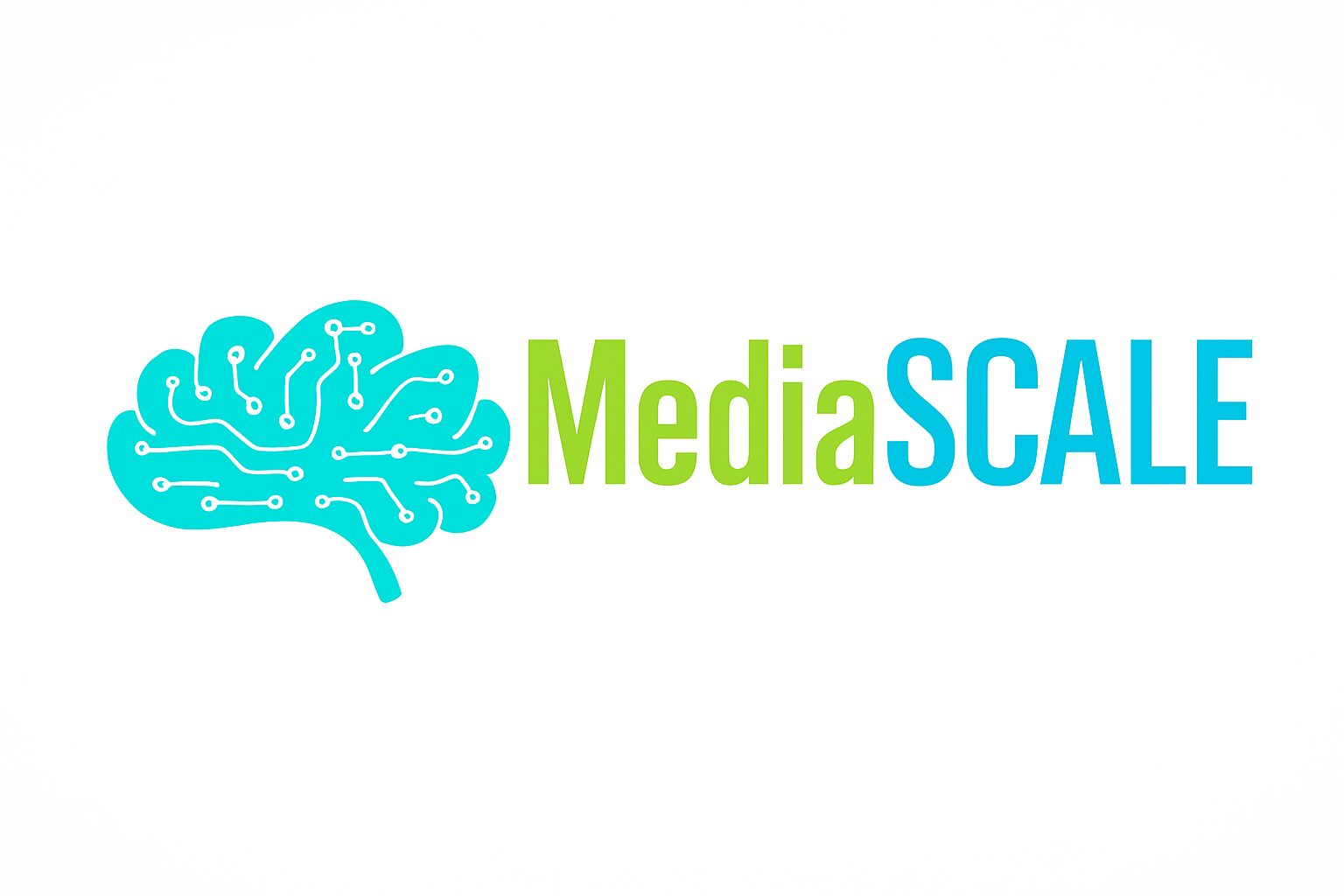 MediaScale Logo